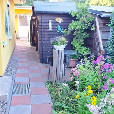 Seepferdchen Bei Zacher *