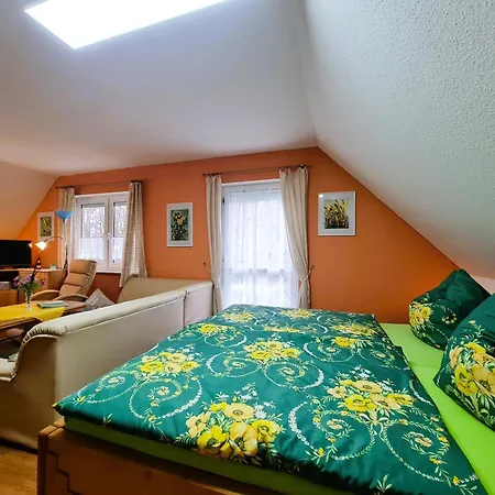 Seepferdchen Bei Zacher *