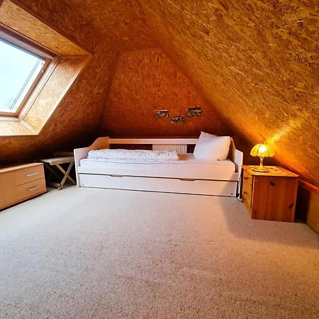 Seepferdchen Bei Zacher Ostseebad Kühlungsborn