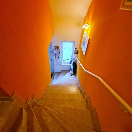 Seepferdchen Bei Zacher * Ostseebad Kühlungsborn