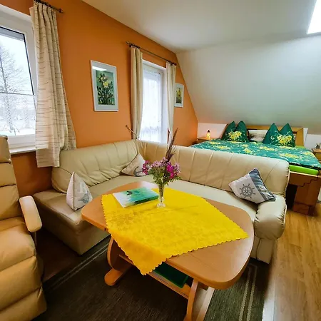 Seepferdchen Bei Zacher