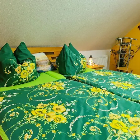 Seepferdchen Bei Zacher *