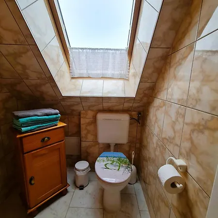 Seepferdchen Bei Zacher Ostseebad Kühlungsborn