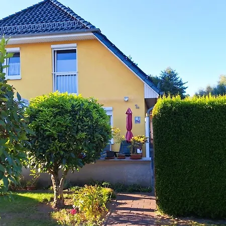 Seepferdchen Bei Zacher Apartment Kuehlungsborn