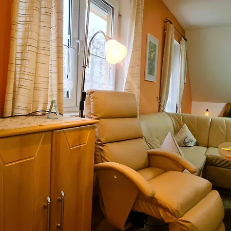 Seepferdchen Bei Zacher Ostseebad Kühlungsborn