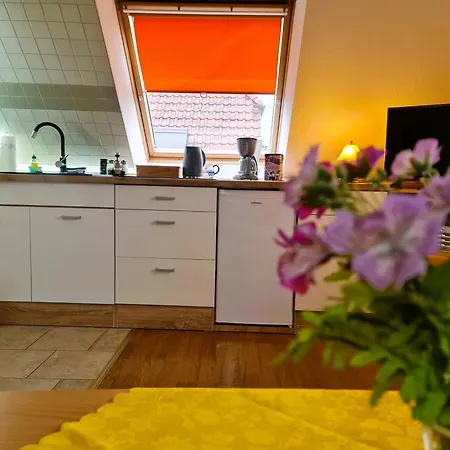 Seepferdchen Bei Zacher Appartement *